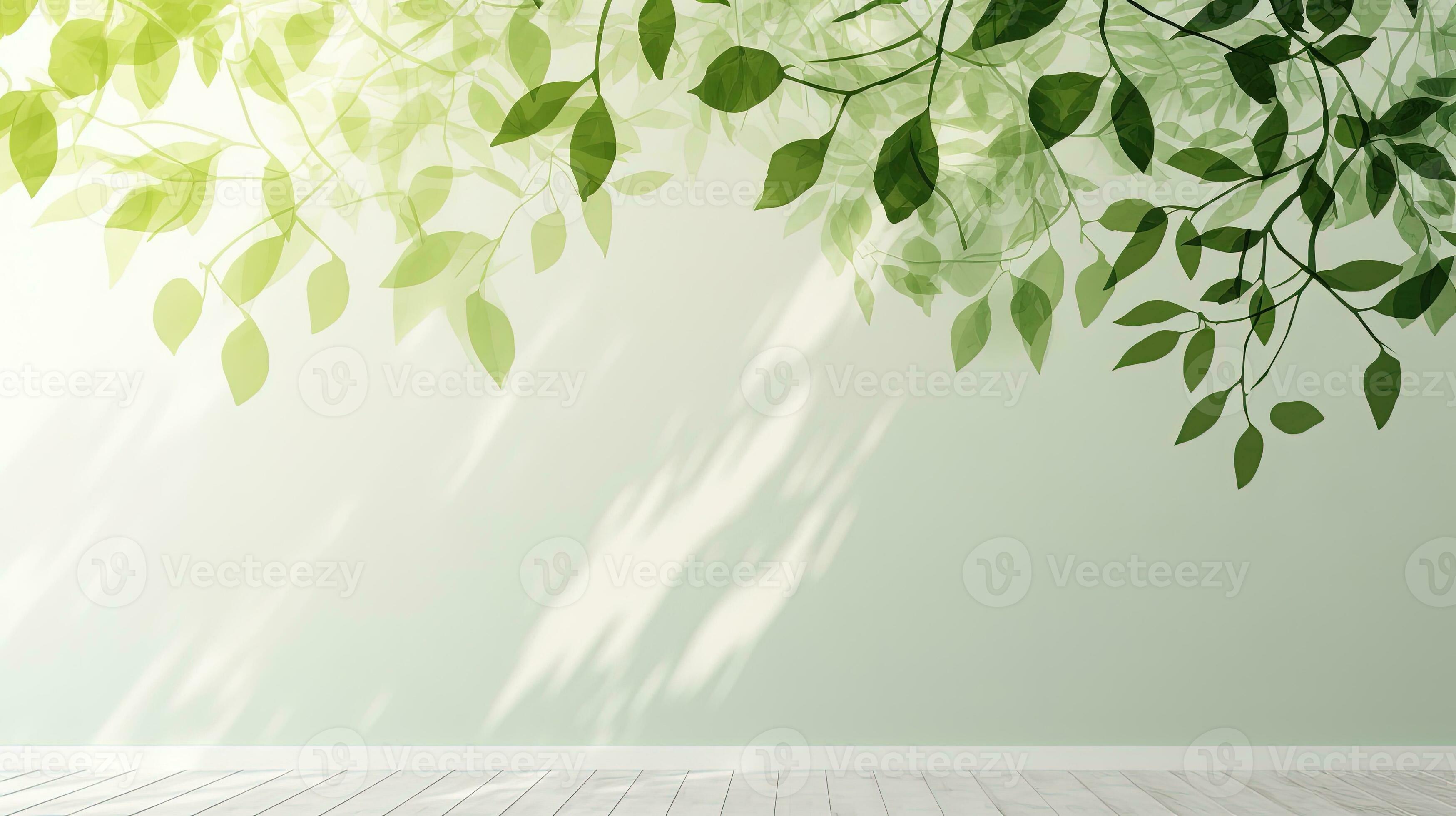 Green shadow created by falling tree branch on white wall texture