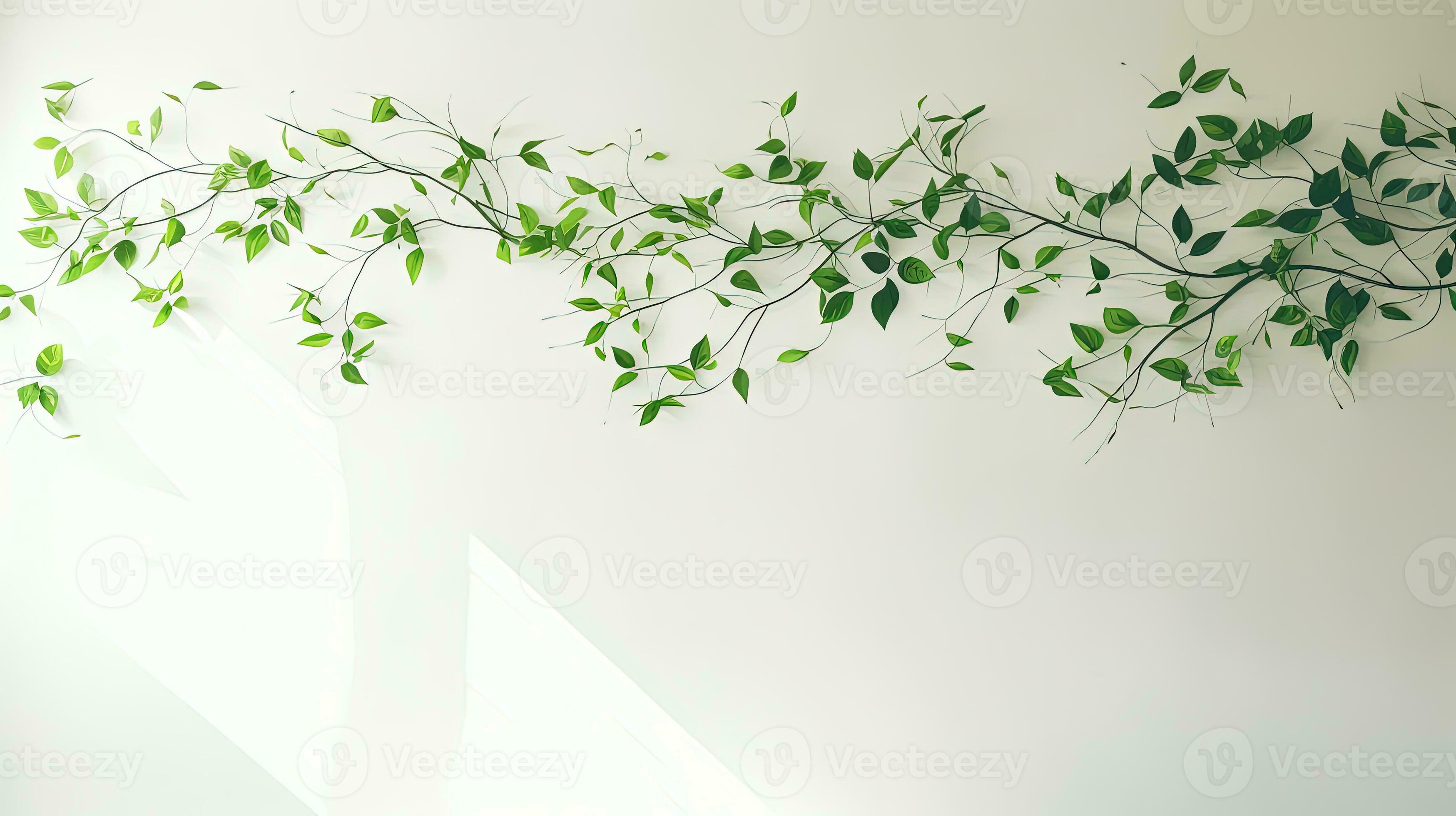 Green shadow created by falling tree branch on white wall texture