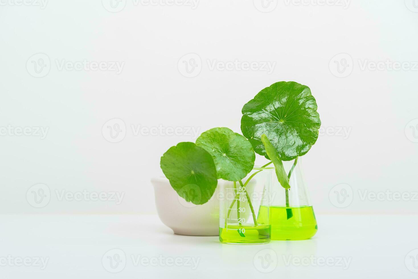 A glass beaker containing water and Centella asiatica decorated with erlenmeyer flask and round podium photo