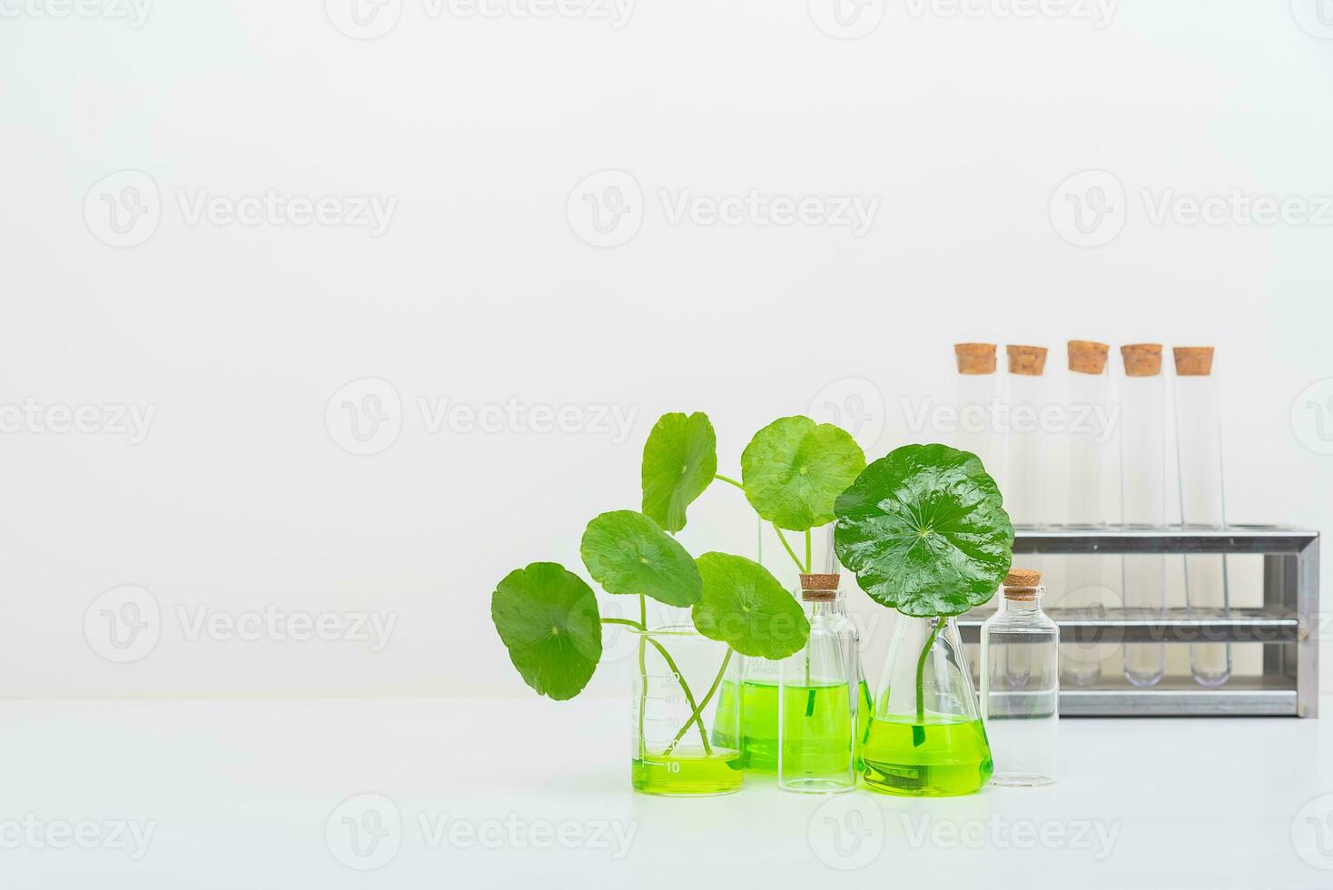 A glass beaker containing water and Centella asiatica decorated with erlenmeyer flask and round podium photo