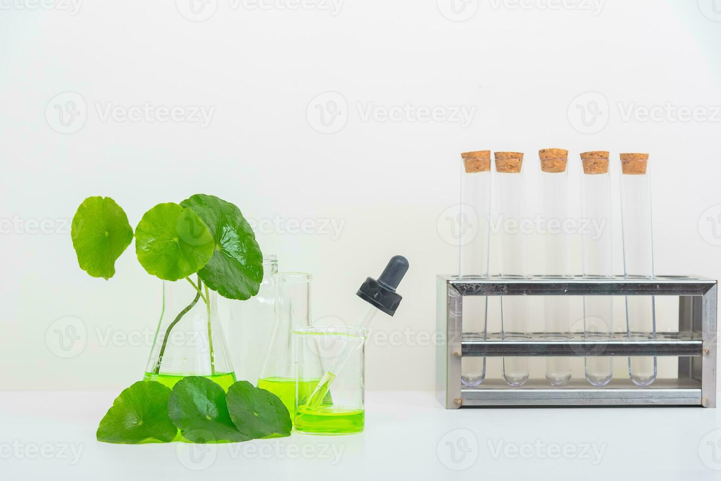 A glass beaker containing water and Centella asiatica decorated with erlenmeyer flask and round podium photo
