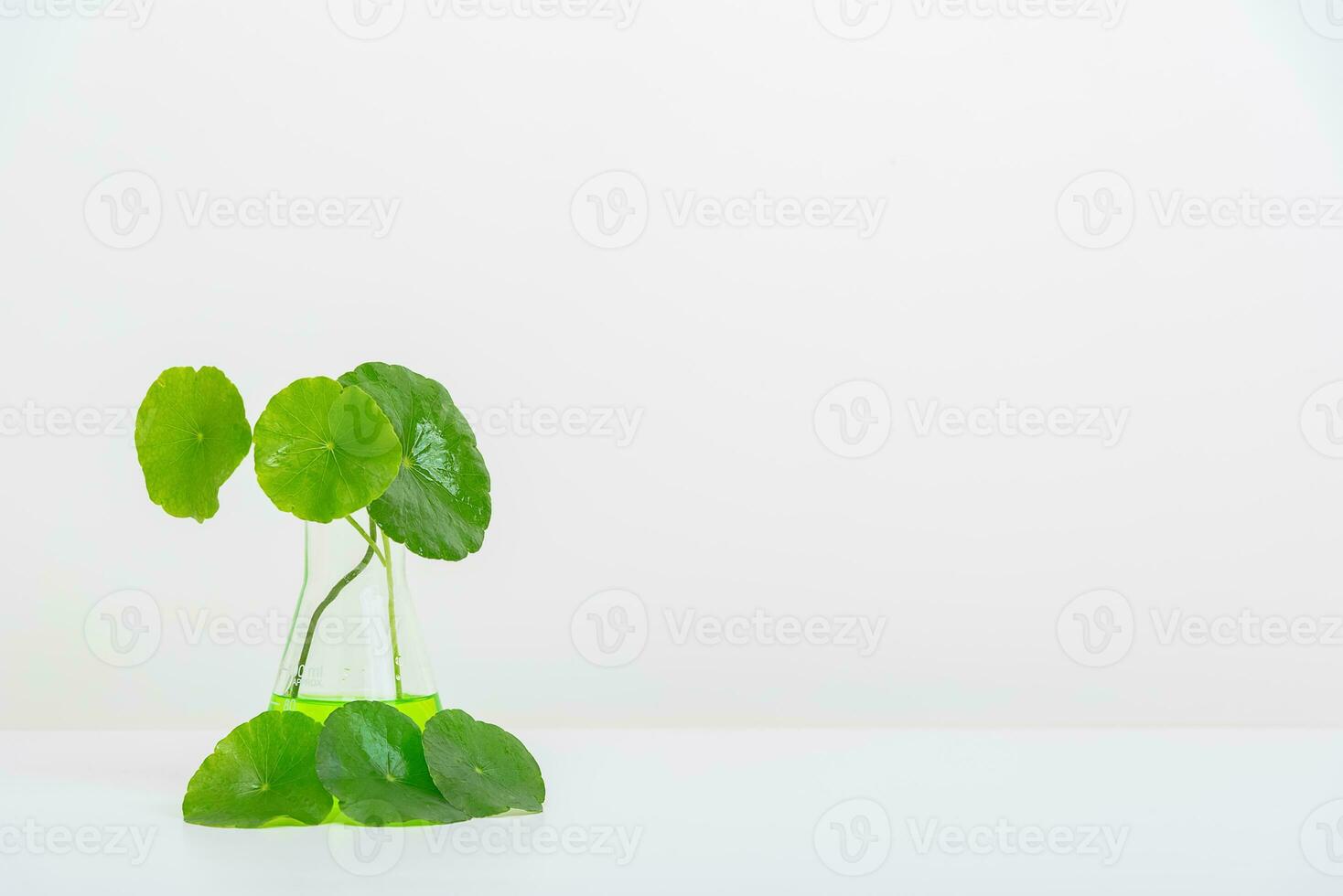A glass beaker containing water and Centella asiatica decorated with erlenmeyer flask and round podium photo