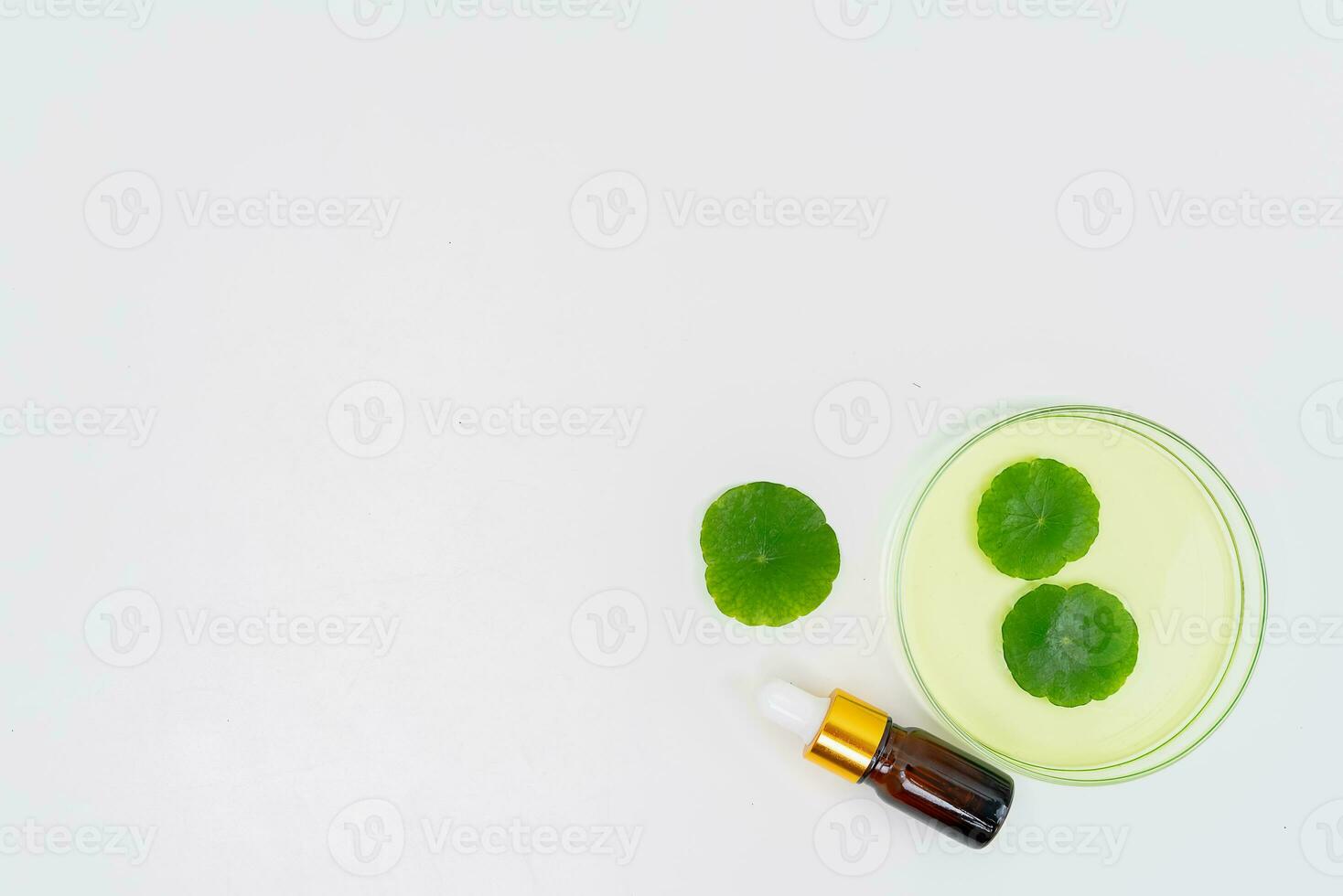 Top view glass beaker containing water and Centella asiatica decorated with erlenmeyer flask and round podium photo