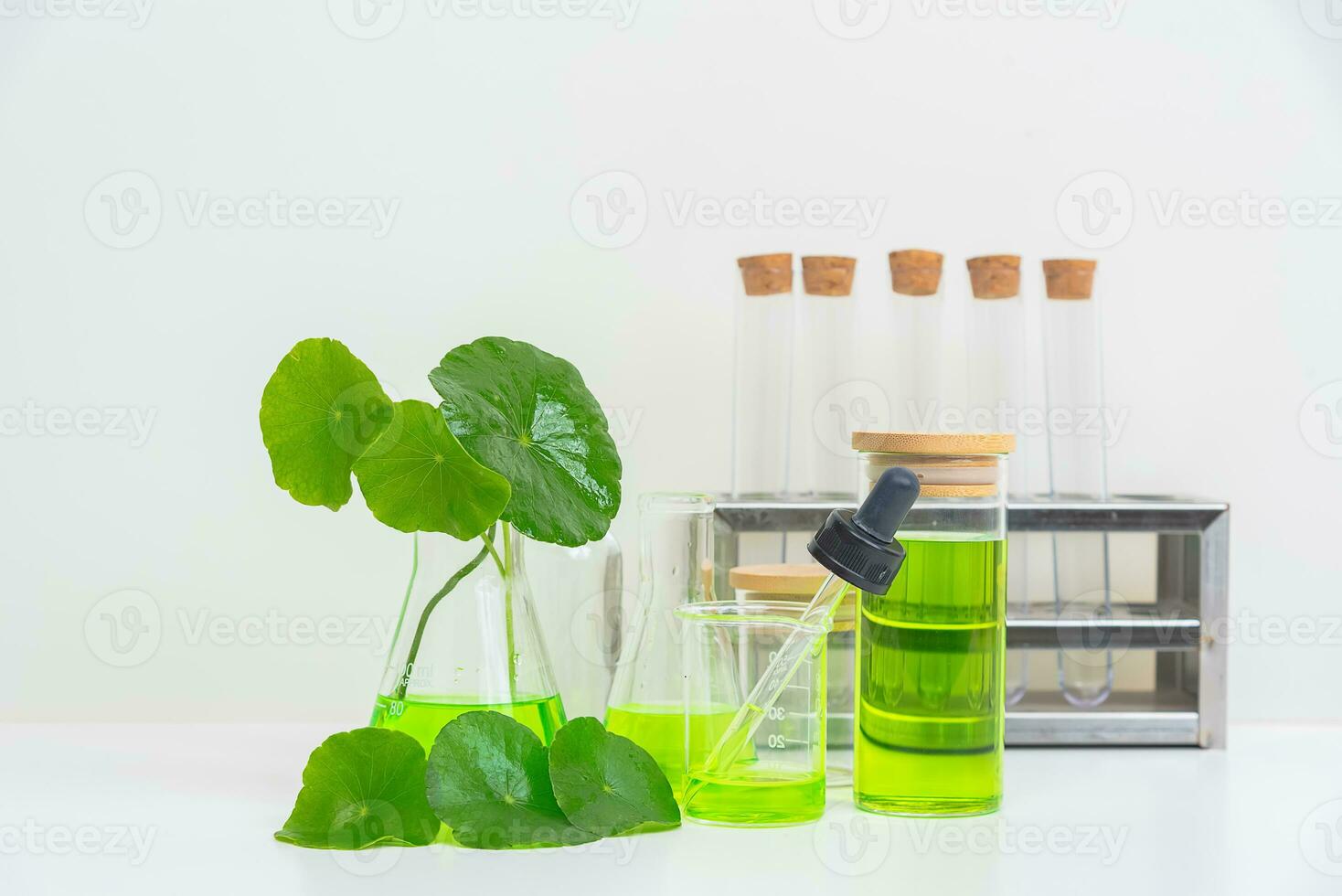 A glass beaker containing water and Centella asiatica decorated with erlenmeyer flask and round podium photo