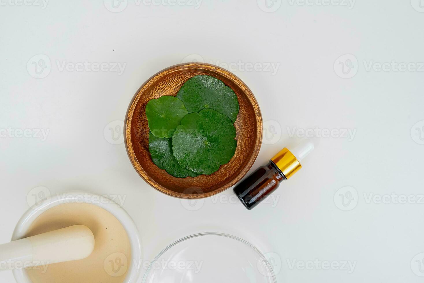 Top view glass beaker containing water and Centella asiatica decorated with erlenmeyer flask and round podium photo