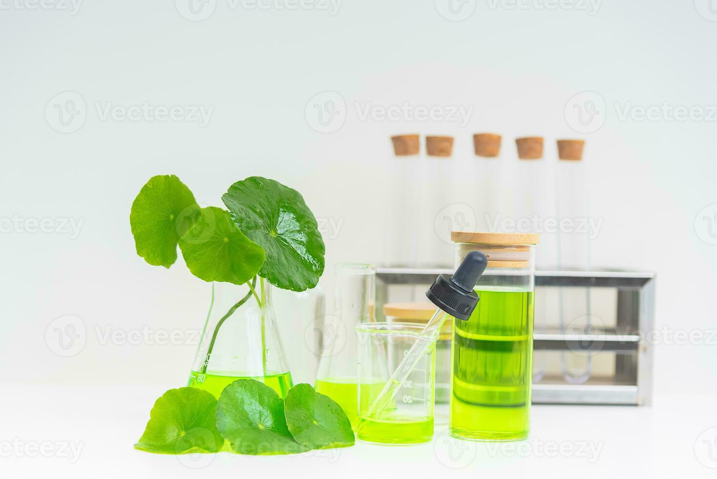 A glass beaker containing water and Centella asiatica decorated with erlenmeyer flask and round podium photo