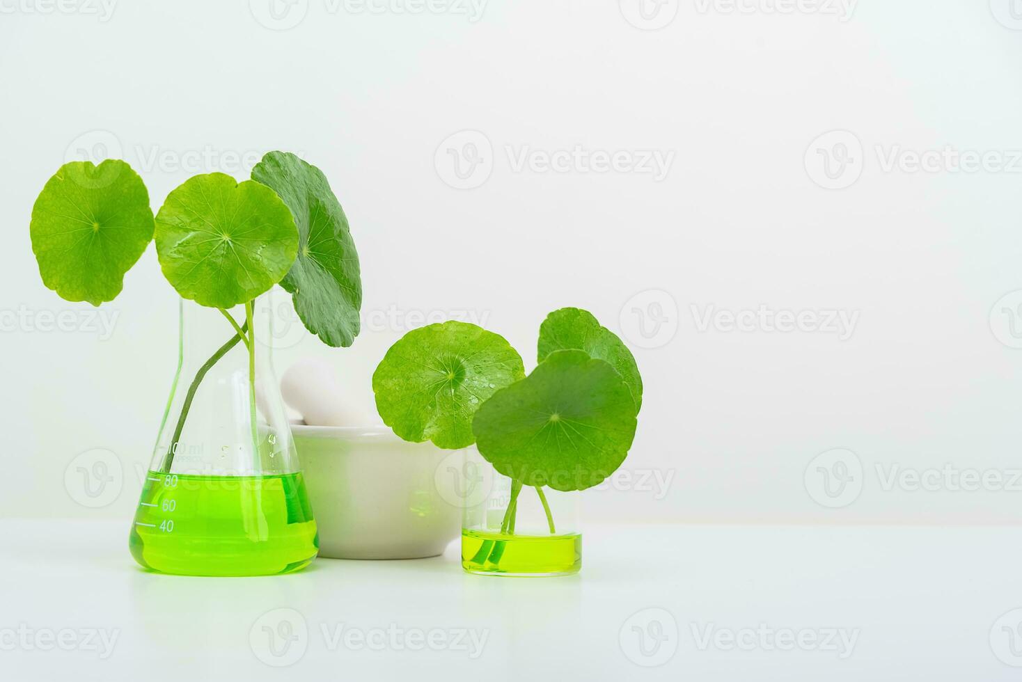 A glass beaker containing water and Centella asiatica decorated with erlenmeyer flask and round podium photo