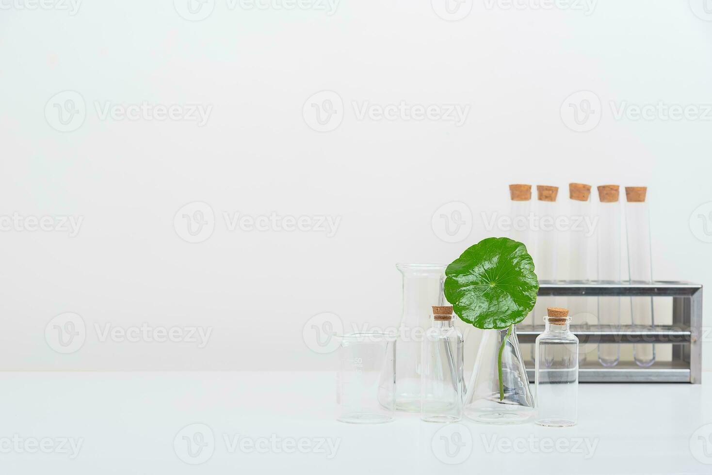 A glass beaker containing water and Centella asiatica decorated with erlenmeyer flask and round podium photo