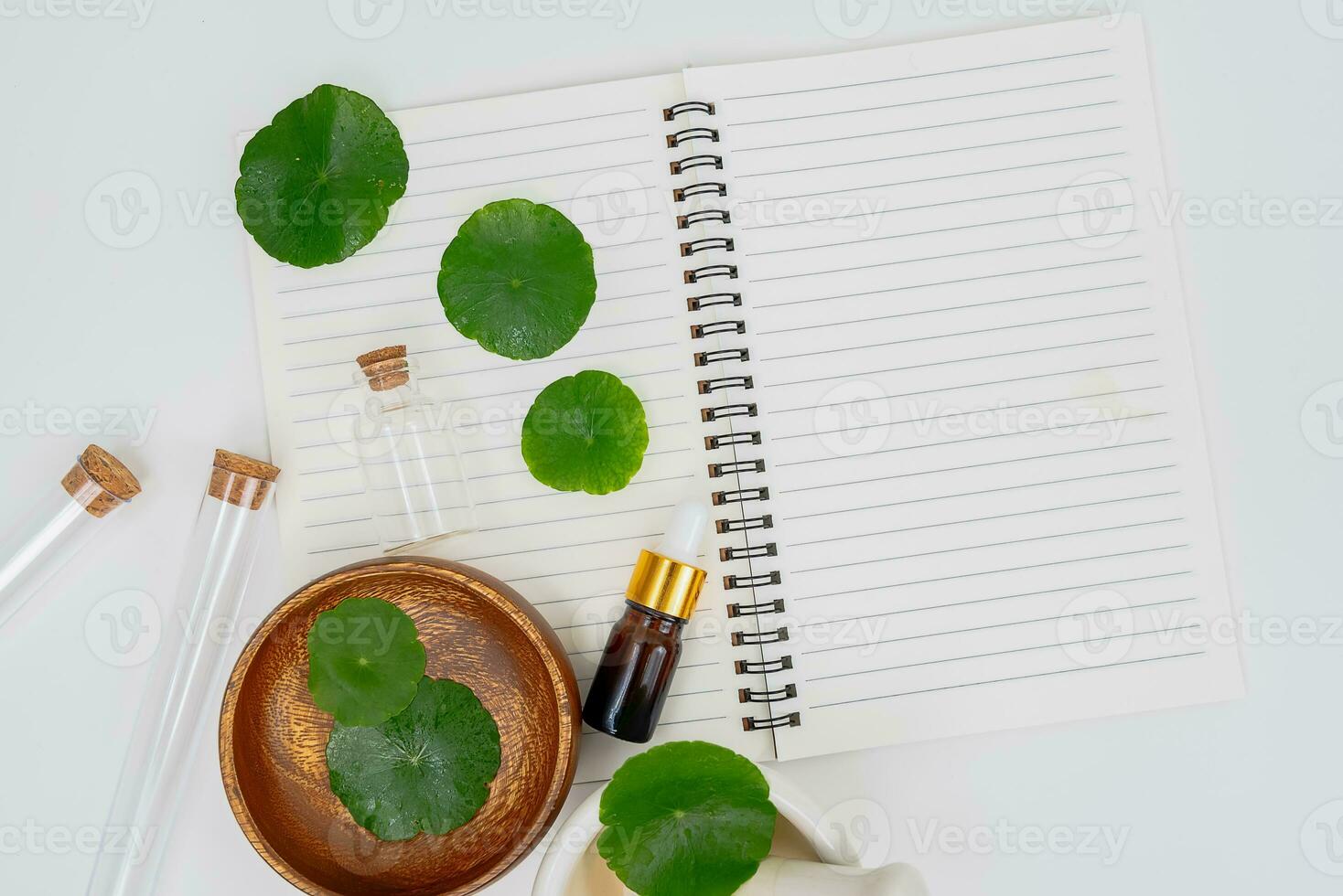 Top view glass beaker containing water and Centella asiatica decorated with erlenmeyer flask and round podium photo