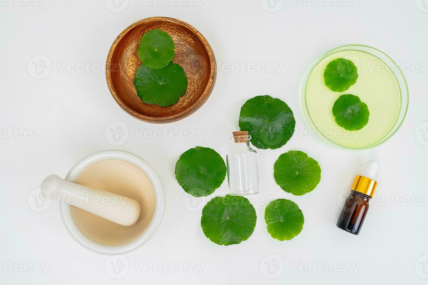 Top view glass beaker containing water and Centella asiatica decorated with erlenmeyer flask and round podium photo