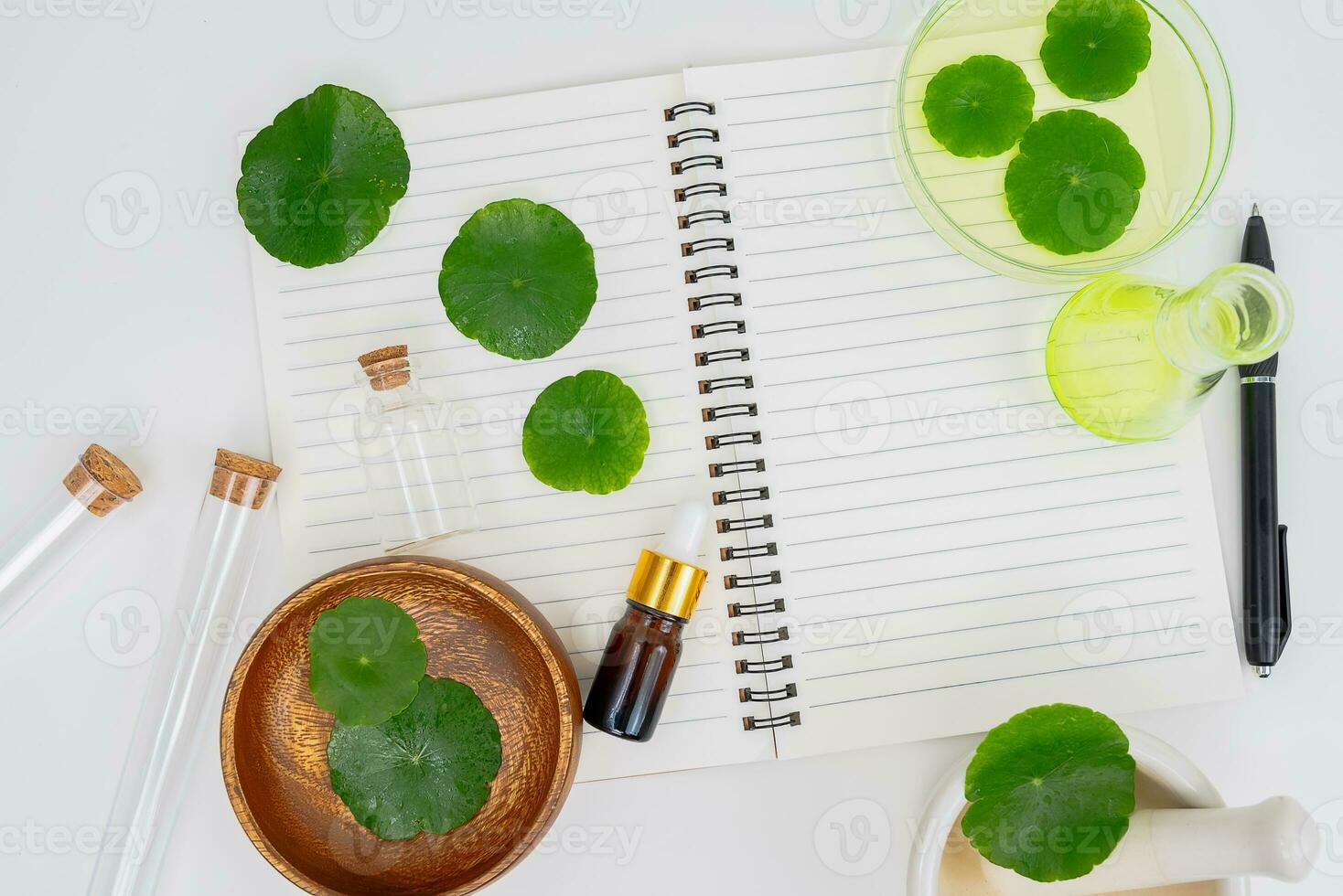Top view glass beaker containing water and Centella asiatica decorated with erlenmeyer flask and round podium photo
