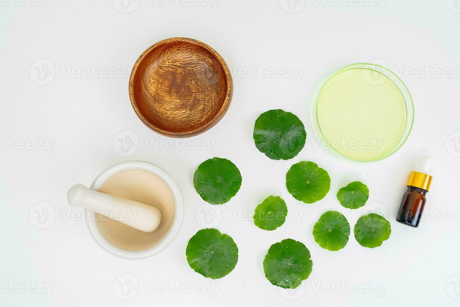 Top view glass beaker containing water and Centella asiatica decorated with erlenmeyer flask and round podium photo