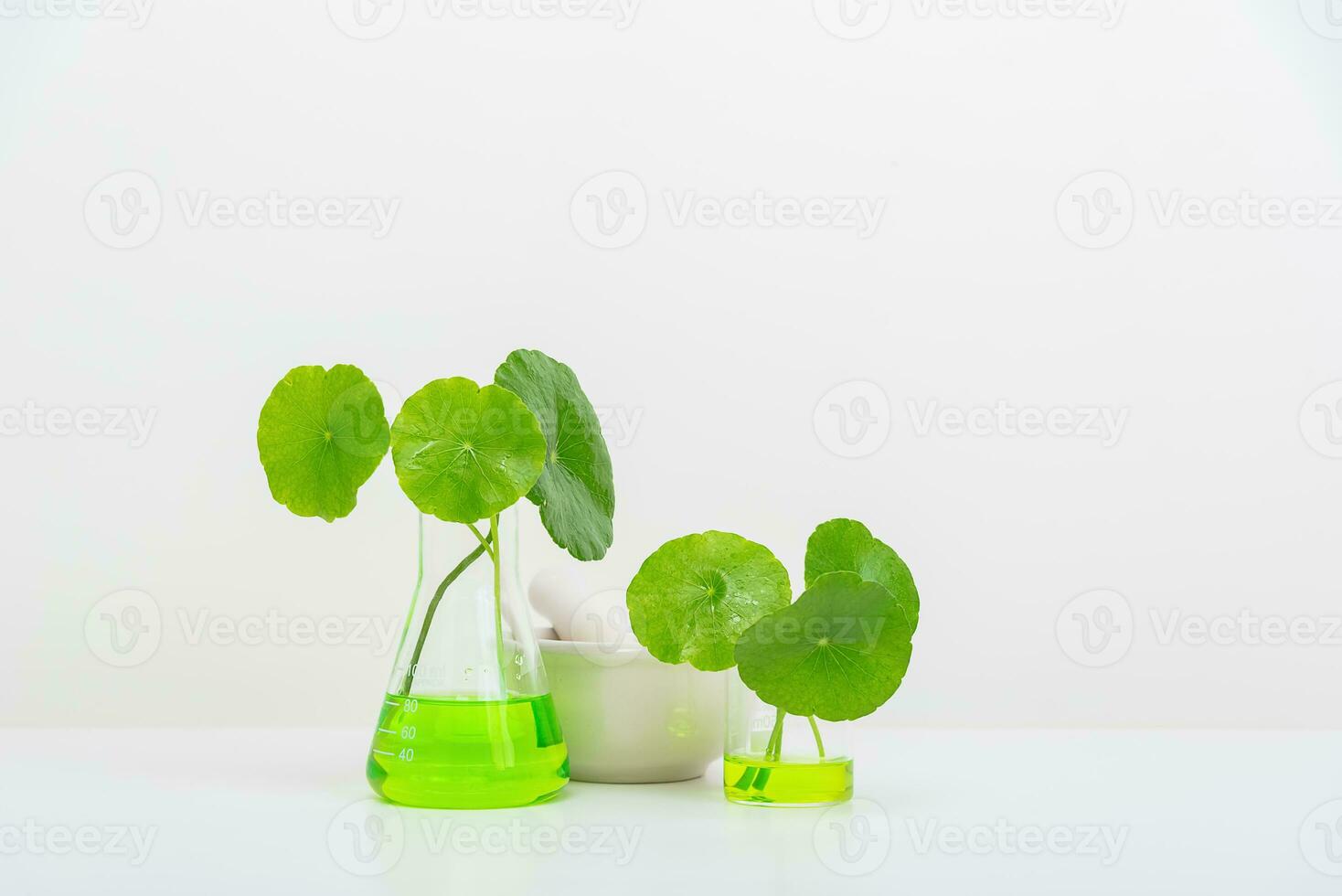 A glass beaker containing water and Centella asiatica decorated with erlenmeyer flask and round podium photo