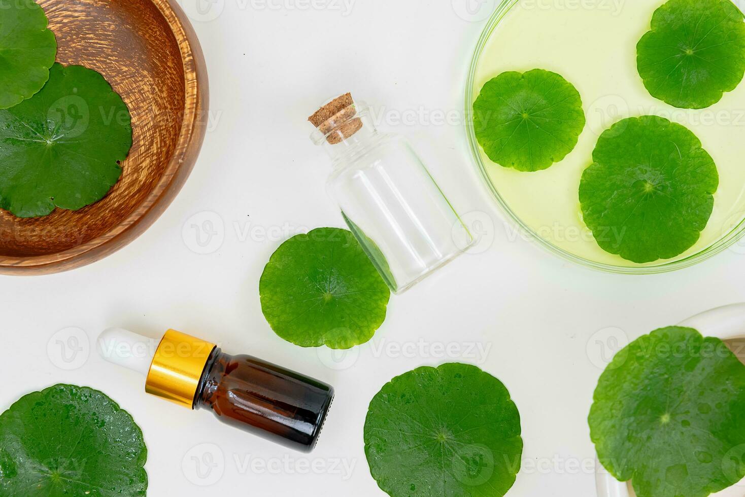 Top view glass beaker containing water and Centella asiatica decorated with erlenmeyer flask and round podium photo