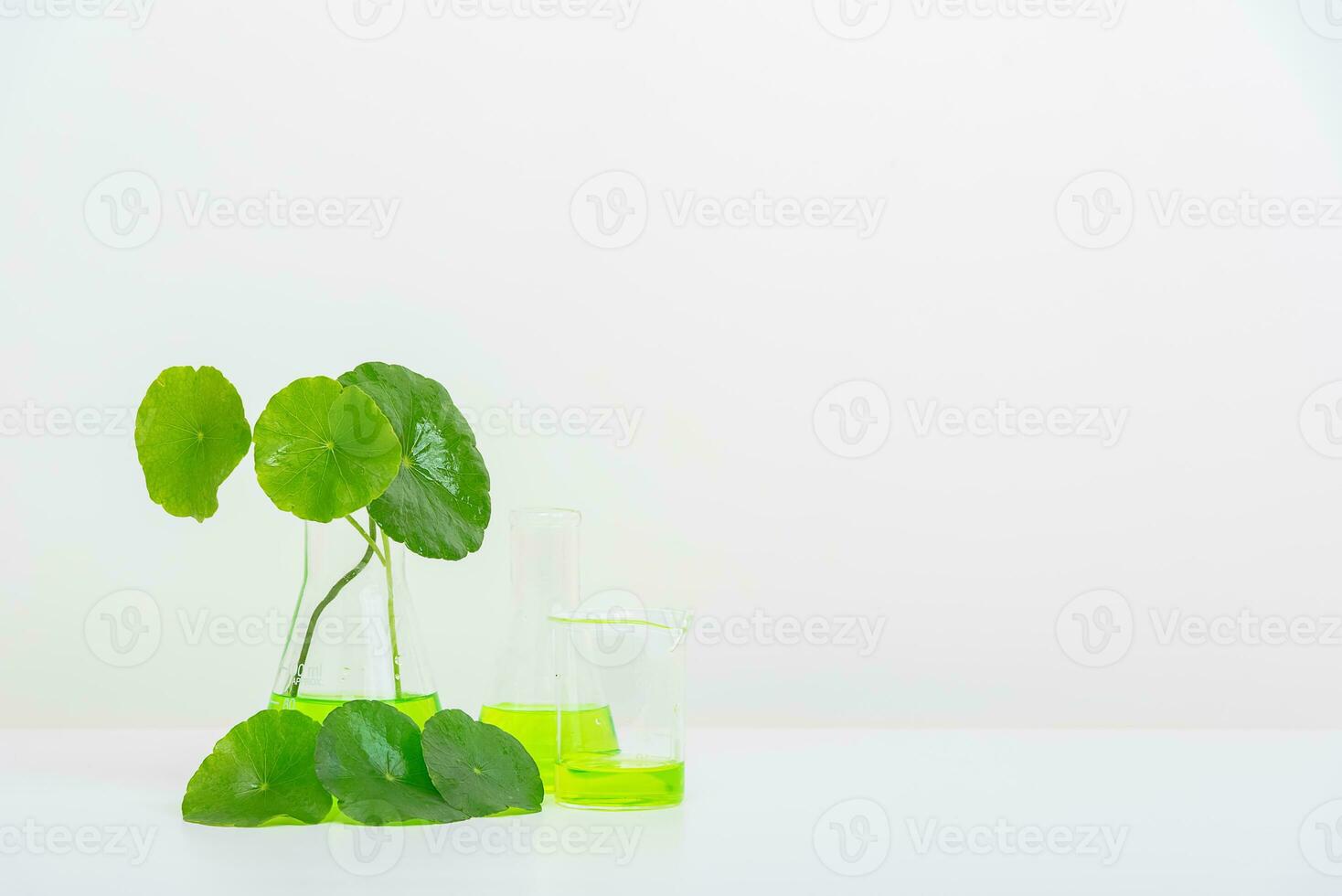 A glass beaker containing water and Centella asiatica decorated with erlenmeyer flask and round podium photo