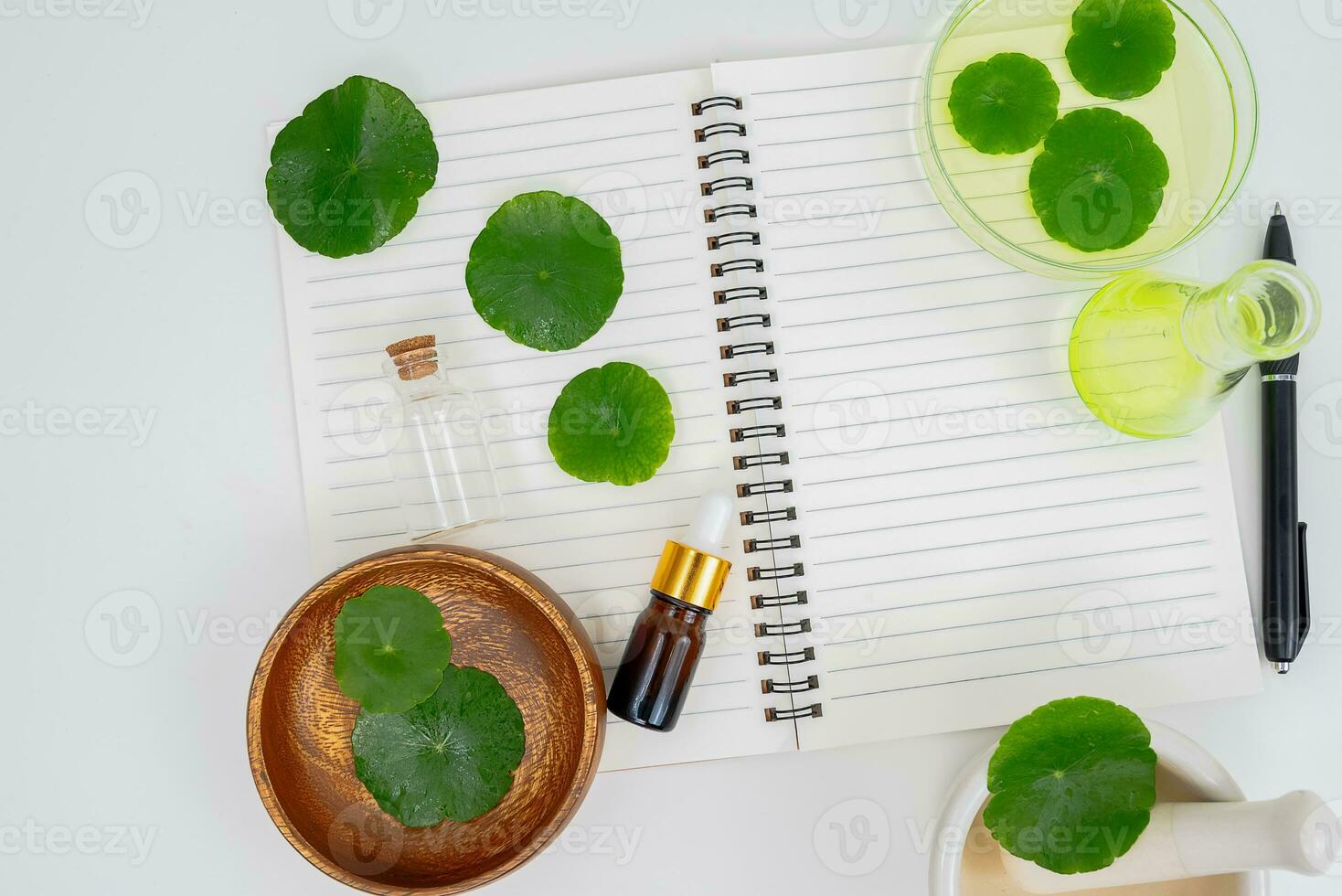 Top view glass beaker containing water and Centella asiatica decorated with erlenmeyer flask and round podium photo