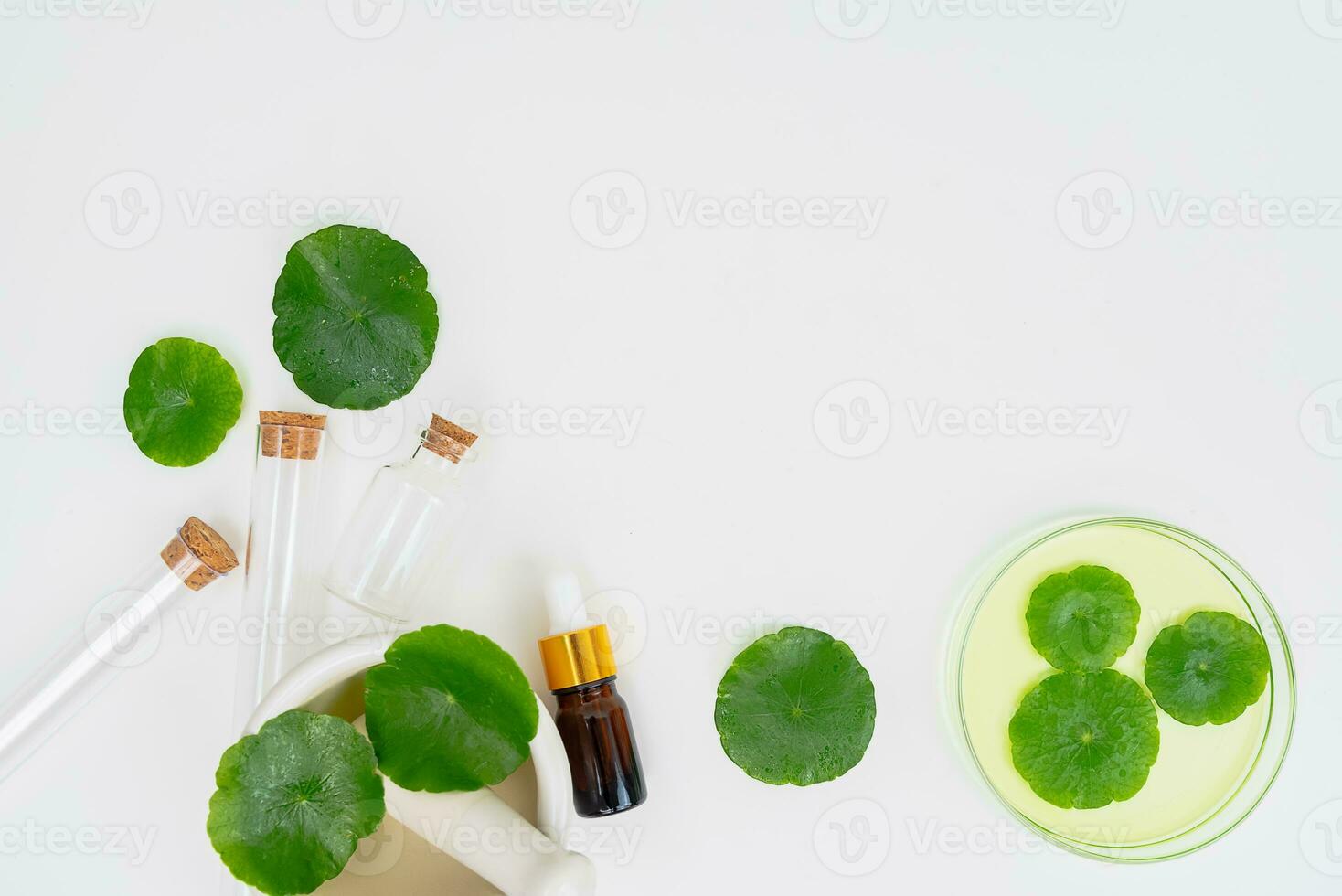 Top view glass beaker containing water and Centella asiatica decorated with erlenmeyer flask and round podium photo