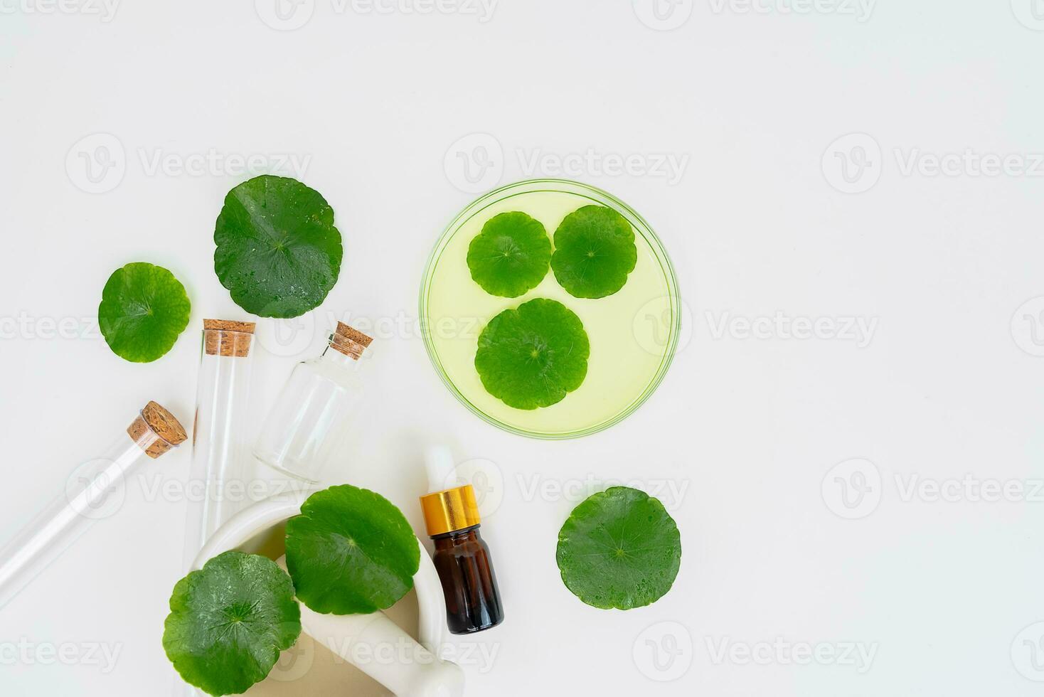 Top view glass beaker containing water and Centella asiatica decorated with erlenmeyer flask and round podium photo