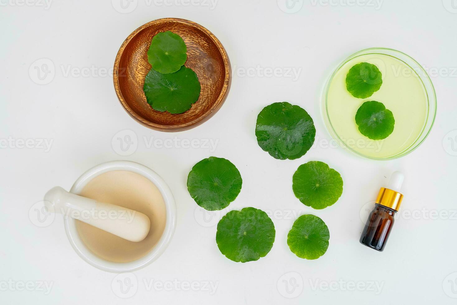 Top view glass beaker containing water and Centella asiatica decorated with erlenmeyer flask and round podium photo