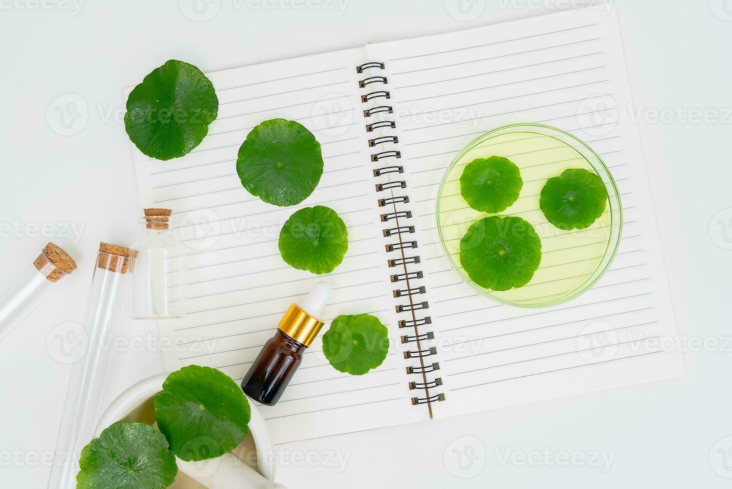 Top view glass beaker containing water and Centella asiatica decorated with erlenmeyer flask and round podium photo