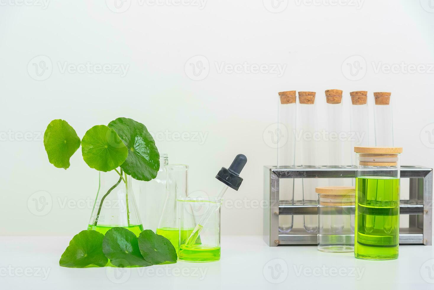 A glass beaker containing water and Centella asiatica decorated with erlenmeyer flask and round podium photo