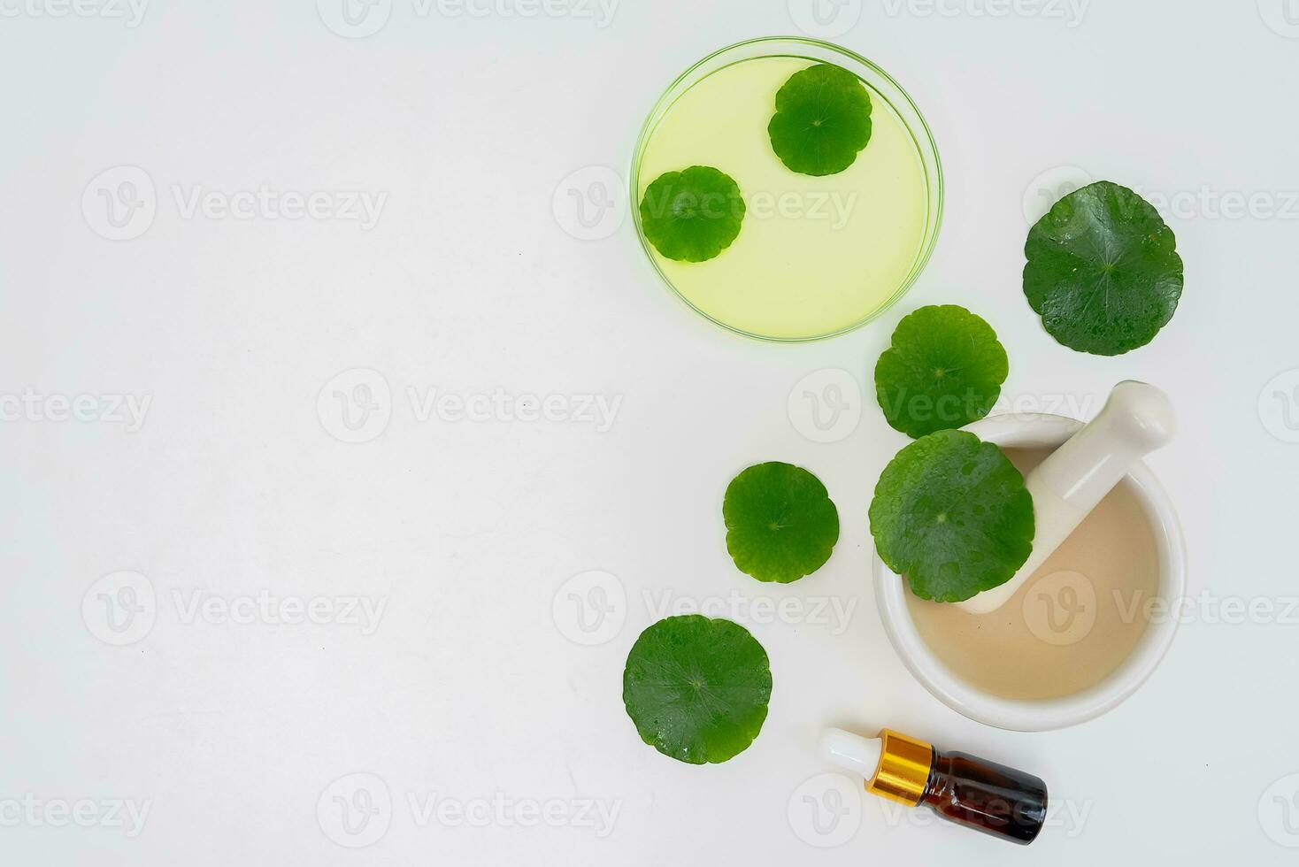 Top view glass beaker containing water and Centella asiatica decorated with erlenmeyer flask and round podium photo