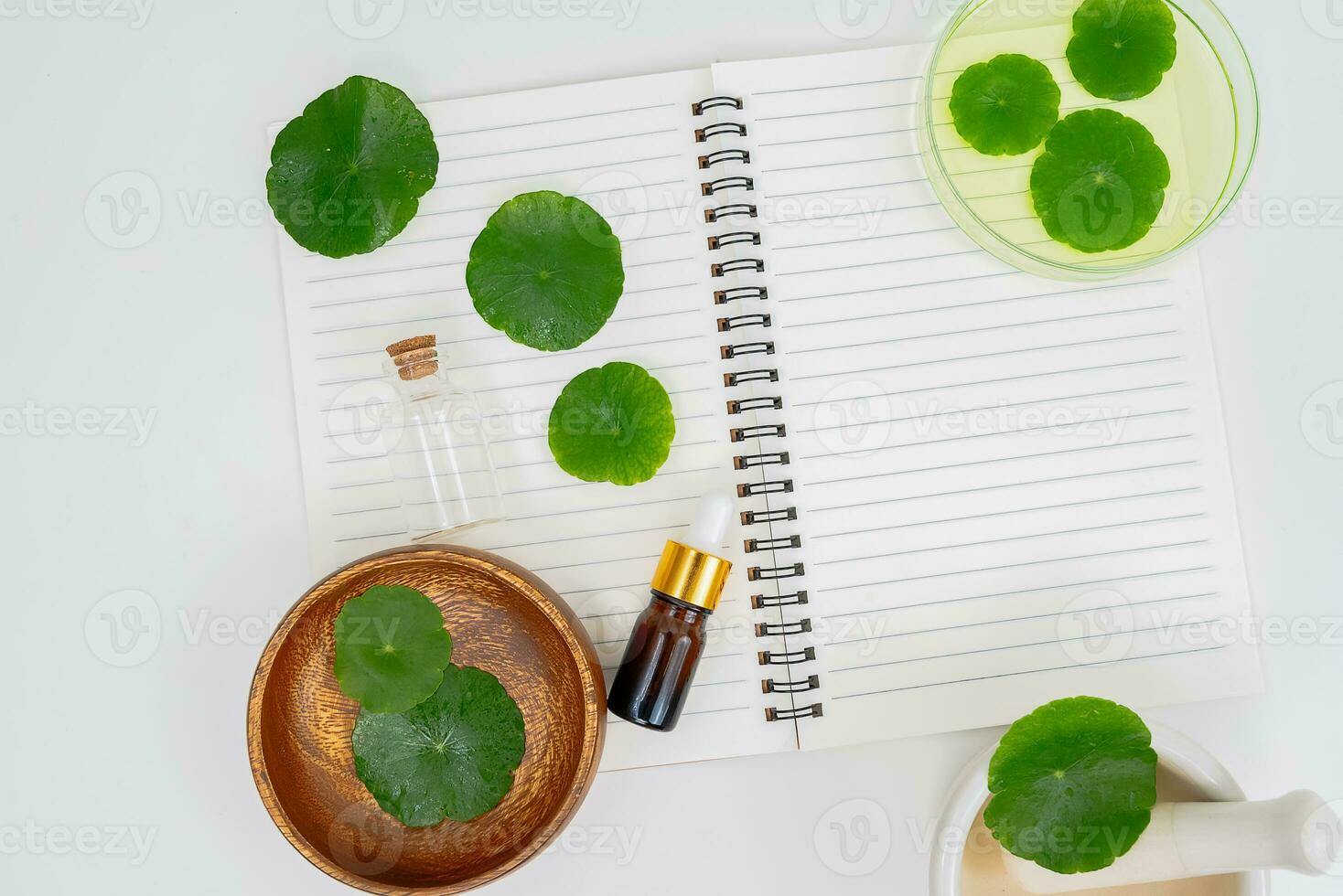 Top view glass beaker containing water and Centella asiatica decorated with erlenmeyer flask and round podium photo