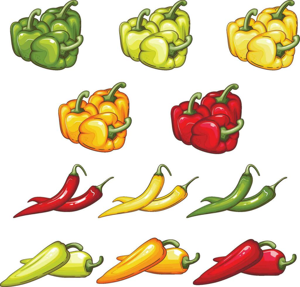Fresco vegetales ilustración, vegetales mezcla vector