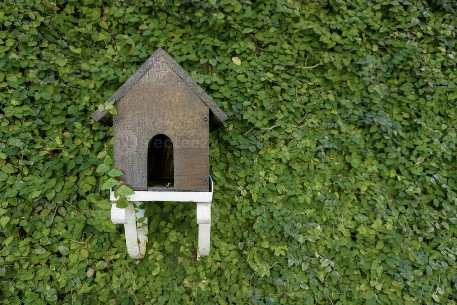 A portrait of a bird nest or bird house isolated by wall of vines photo