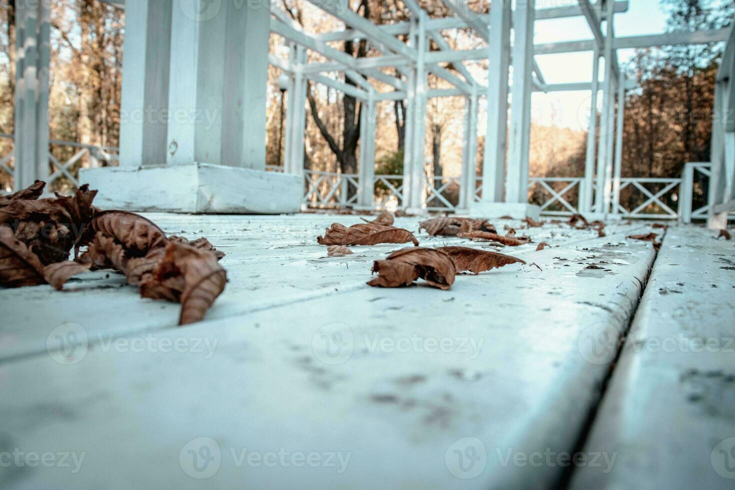 Close up vintage old white wooden textured floor concept photo. photo