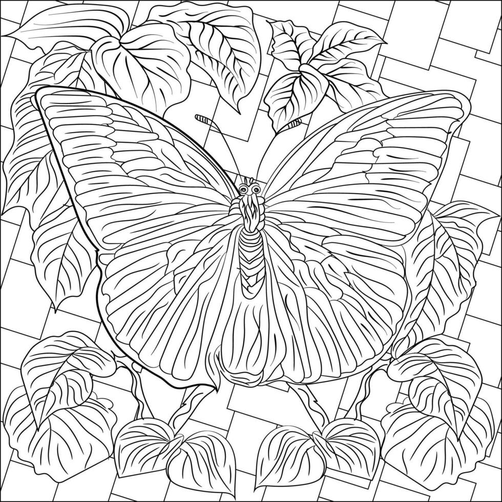 Coloring Page with butterfly geometric pattern background vector