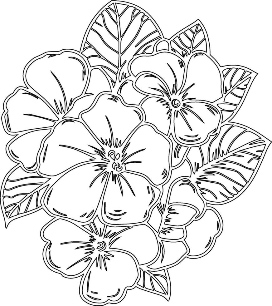 Primrose isolated, hand-drawn floral element. vector illustration bouquet of primrose, sketch art beautiful evening primula Violet, primula flower tattoo, coloring page for adults and children