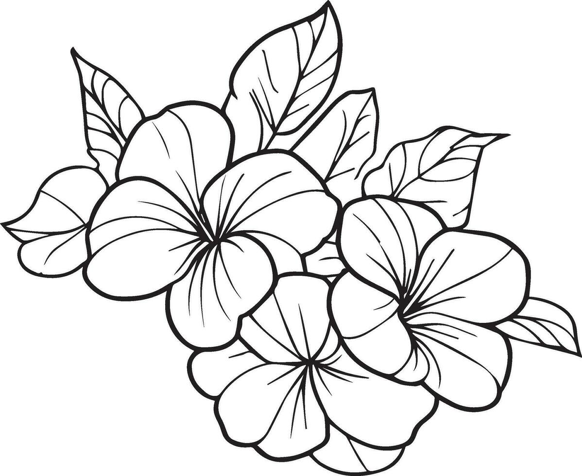 Cute flower coloring pages, primrose drawing, evening primrose wildflower drawings, Hand drawn botanical spring elements bouquet of primrose line art coloring page, easy flower drawing. vector