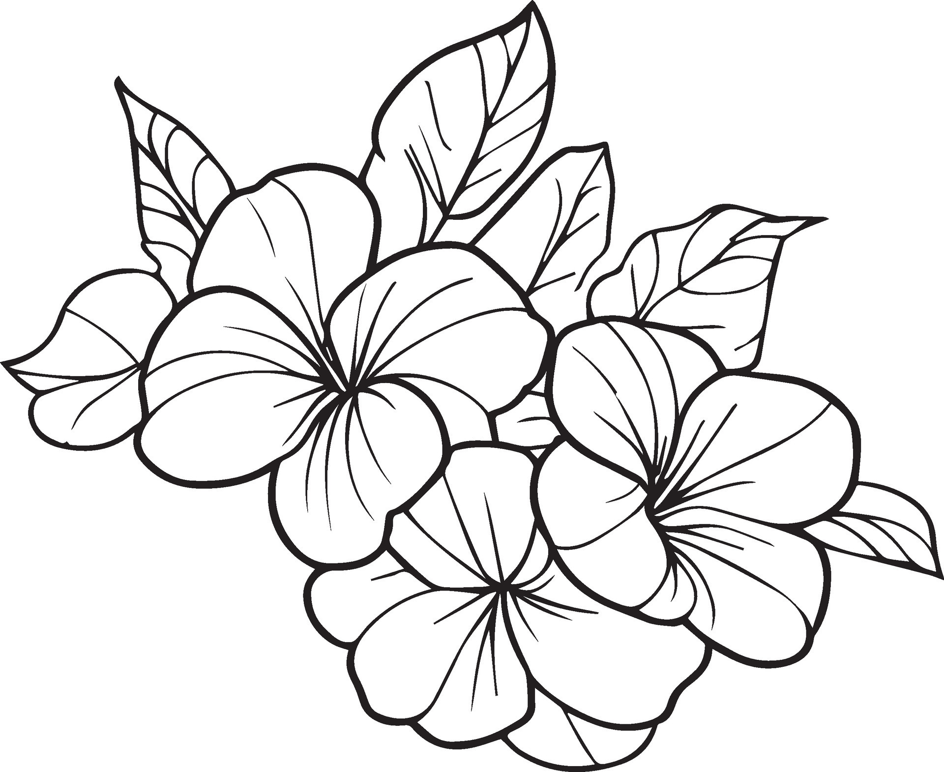 easy cute drawings of flowers