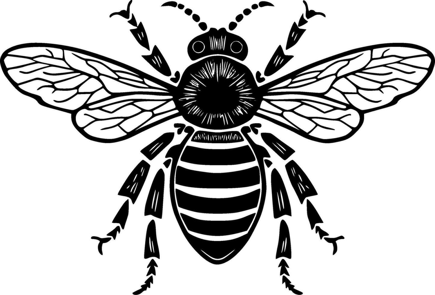 Bee, Black and White Vector illustration