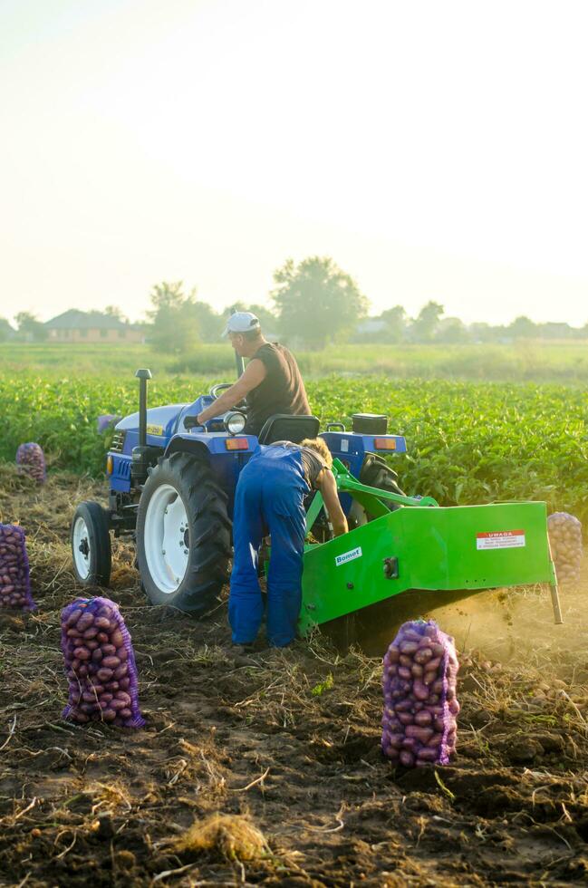 Kherson oblast, Ukraine - September 19, 2020 Farmer workers on a tractor with an aggregate of equipment for digging out potato. Agricultural work in the field. Campaign harvesting potatoes in autumn. photo