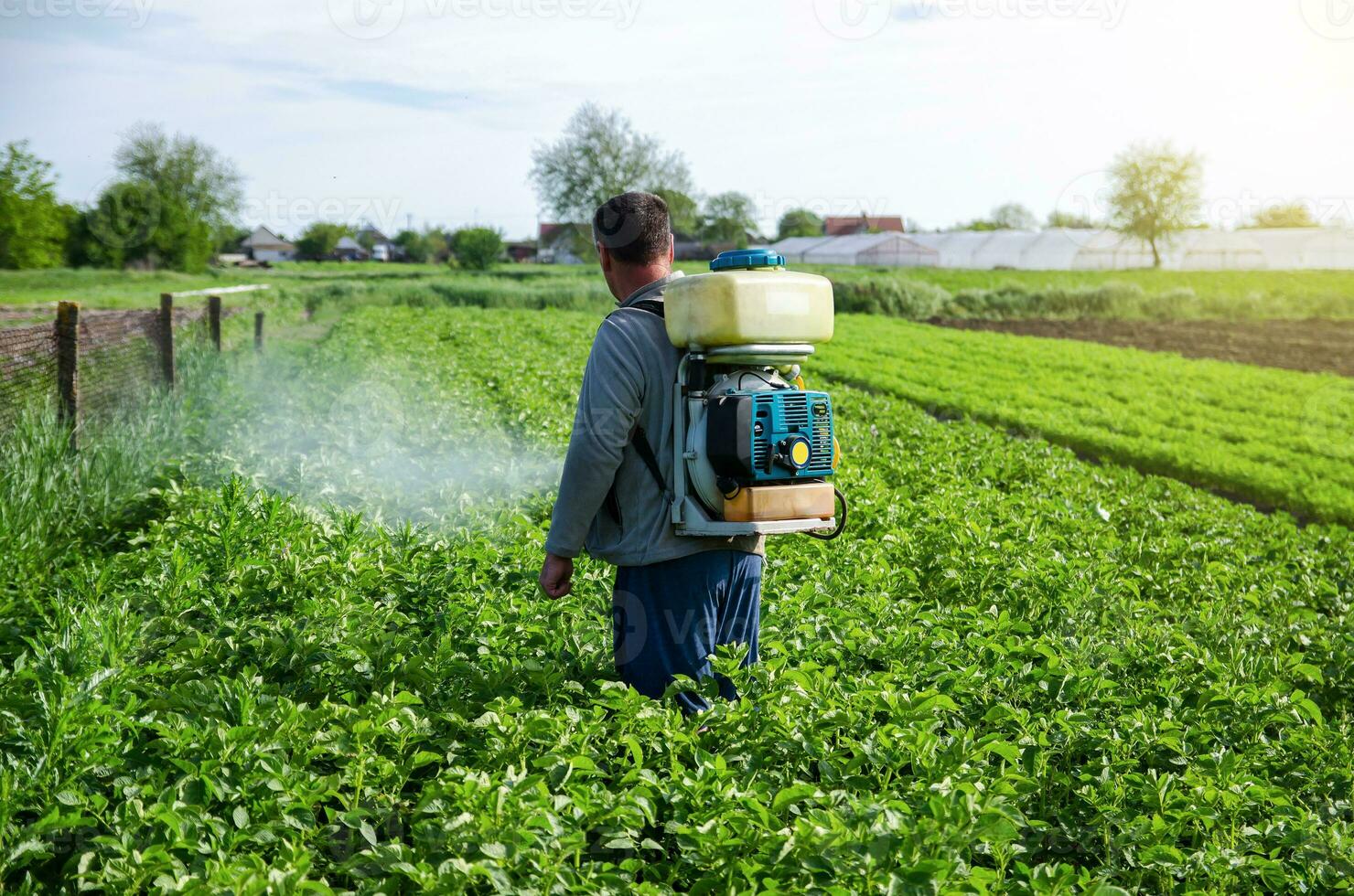 un granjero aerosoles pesticidas en plantación. utilizar de productos quimicos para proteccion de cultivado plantas desde insectos y hongos infecciones agricultura y agro industria. granja trabajar. pesticidas y fungicidas foto