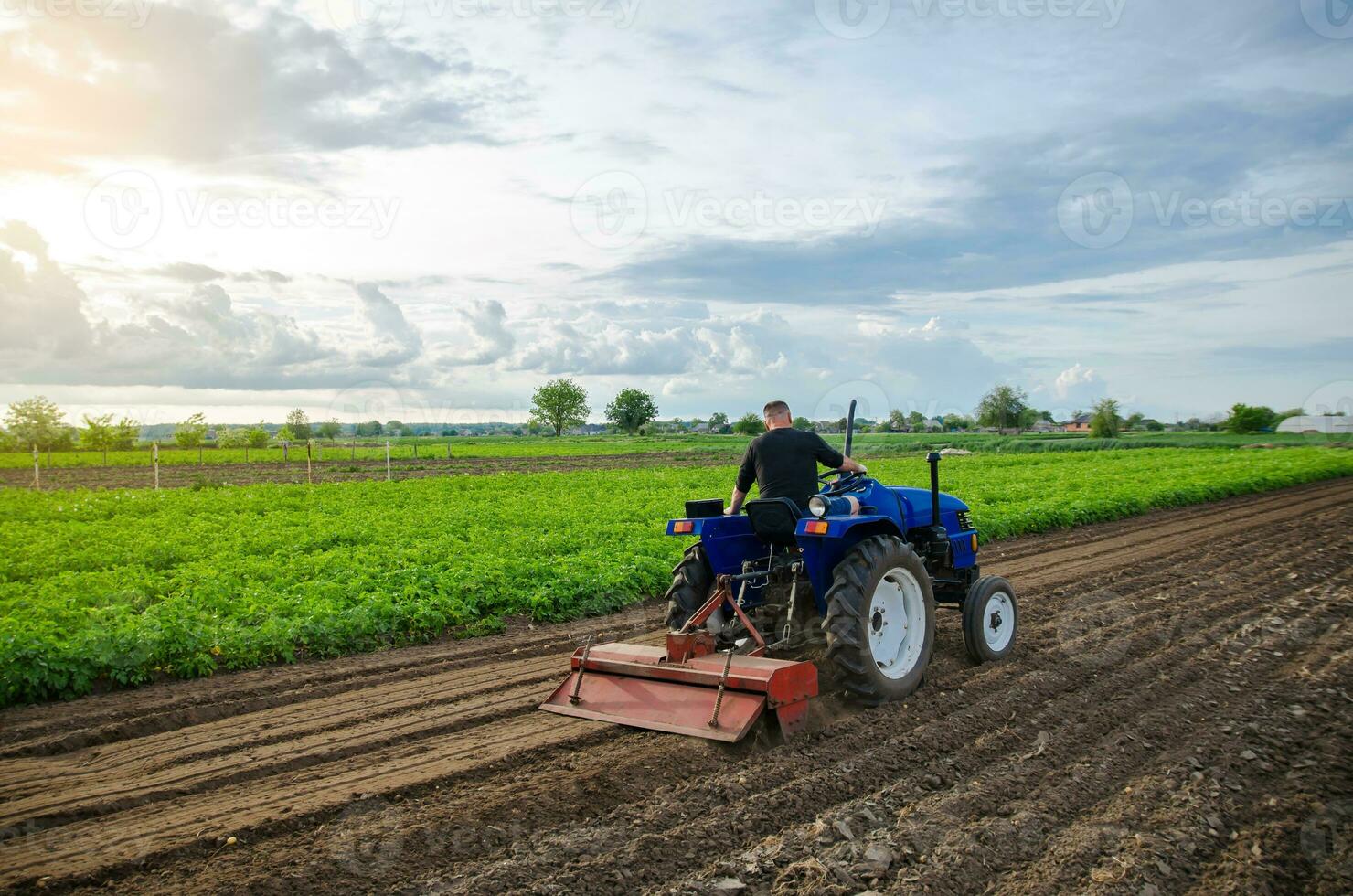 A man farmer works in a farm field. Cultivating the soil before planting a new crop. Milling, crushing and loosening ground. Farming. Agriculture agribusiness. Recruiting workers with driving skills photo