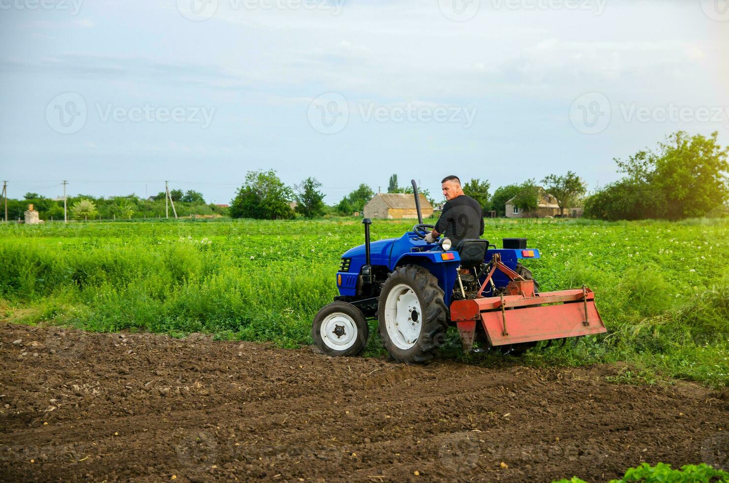 A farmer with a cultivation unit on a tractor rides to cultivate a field. Milling soil, crushing before cutting rows. Agribusiness and agroindustry. Loosening surface, land cultivation. Plowing field. photo
