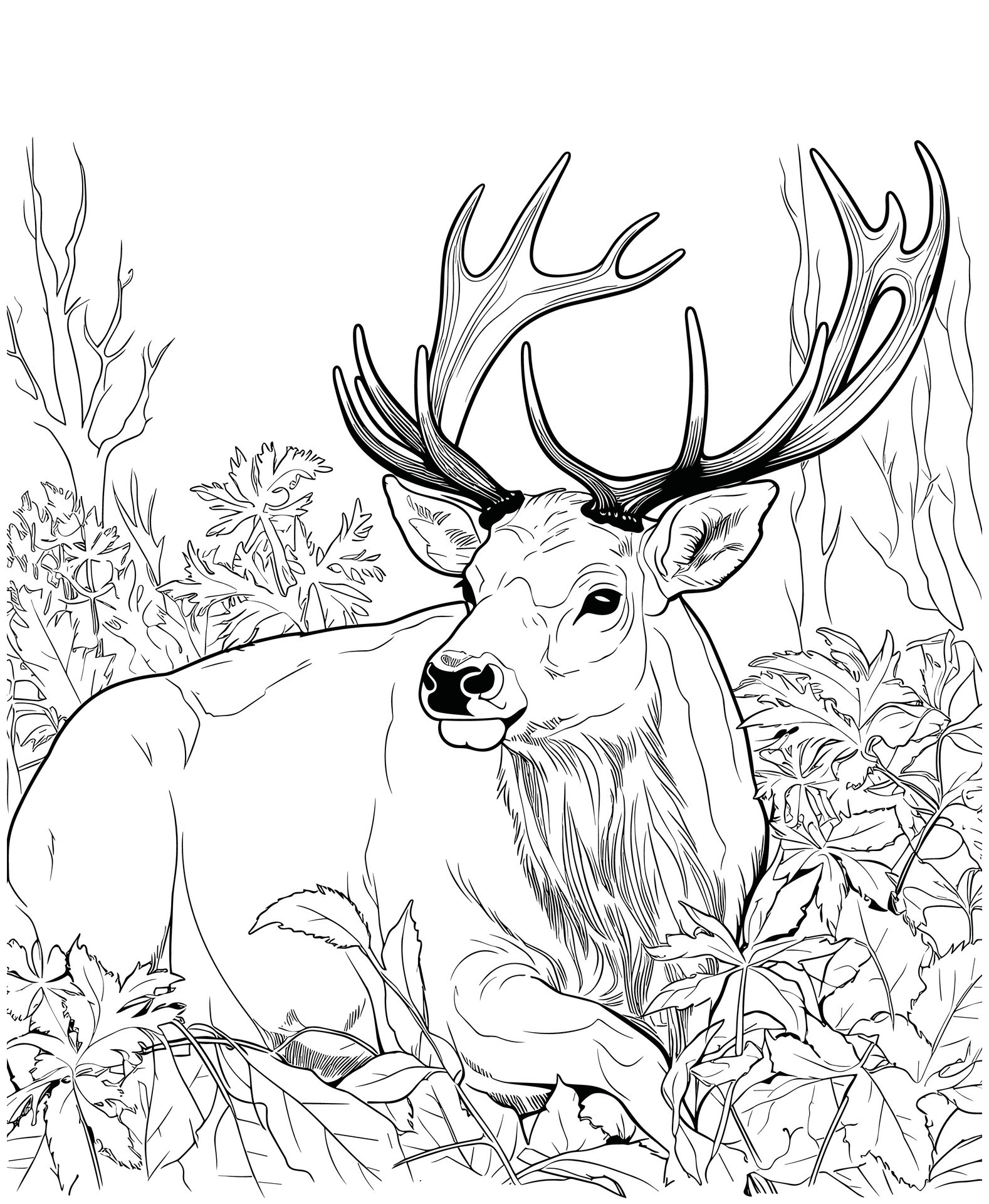 Elk jungle coloring pages 27465930 Vector Art at Vecteezy