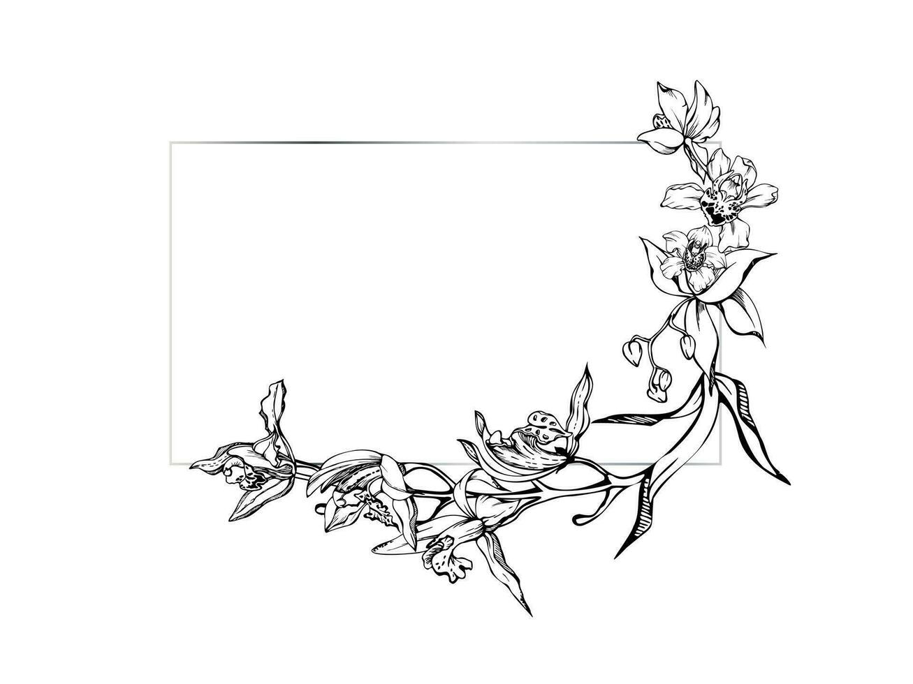 Hand drawn vector ink orchid flowers and branches, monochrome, detailed outline. Horizontal frame composition. Isolated on white background. Design for wall art, wedding, print, tattoo, cover, card.
