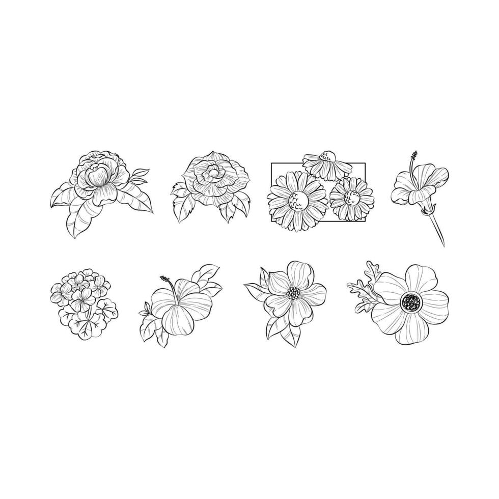 line flowers set graphic resource vector