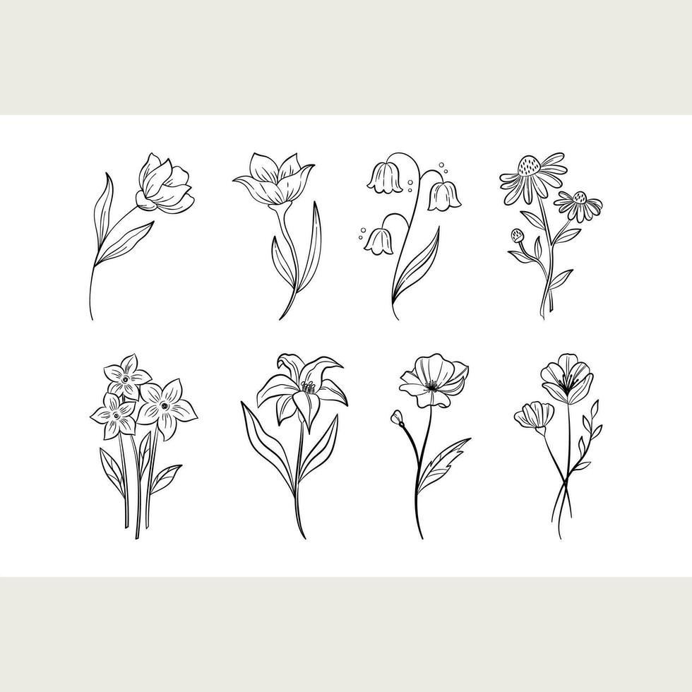 línea flores conjunto gráfico recurso vector