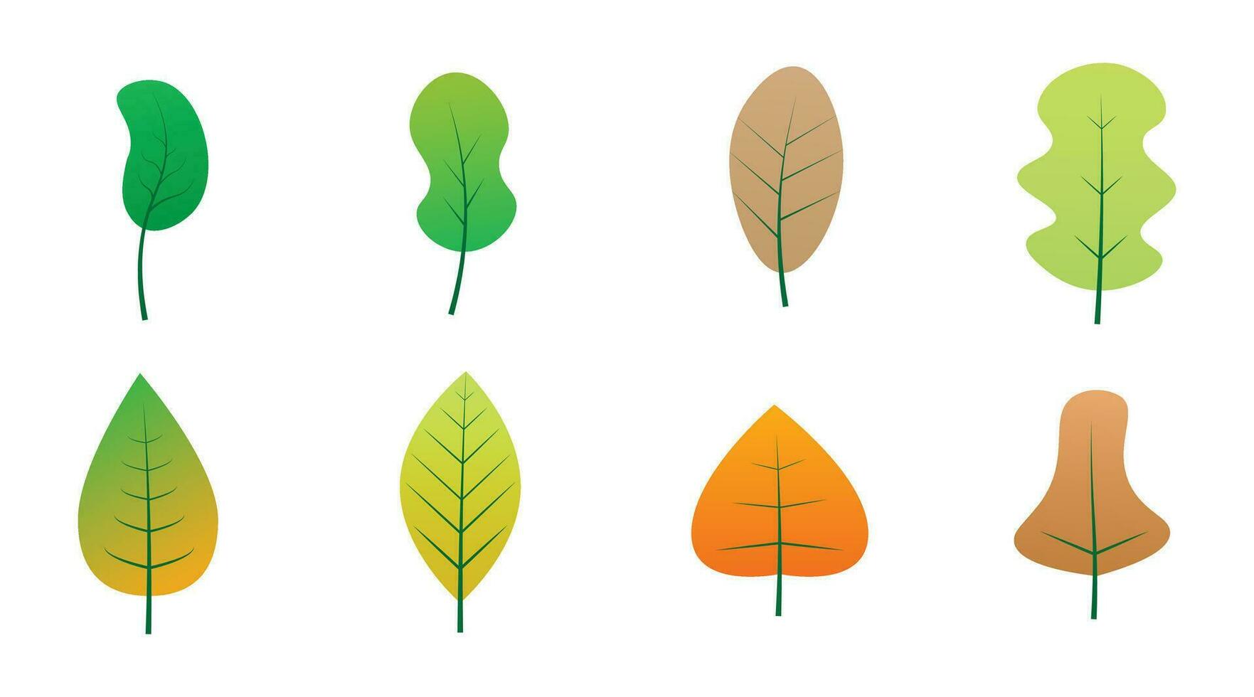 Flat Autumn Leaves Set Isolated on White Background. Flat Cartoon Leaf Vector Illustration