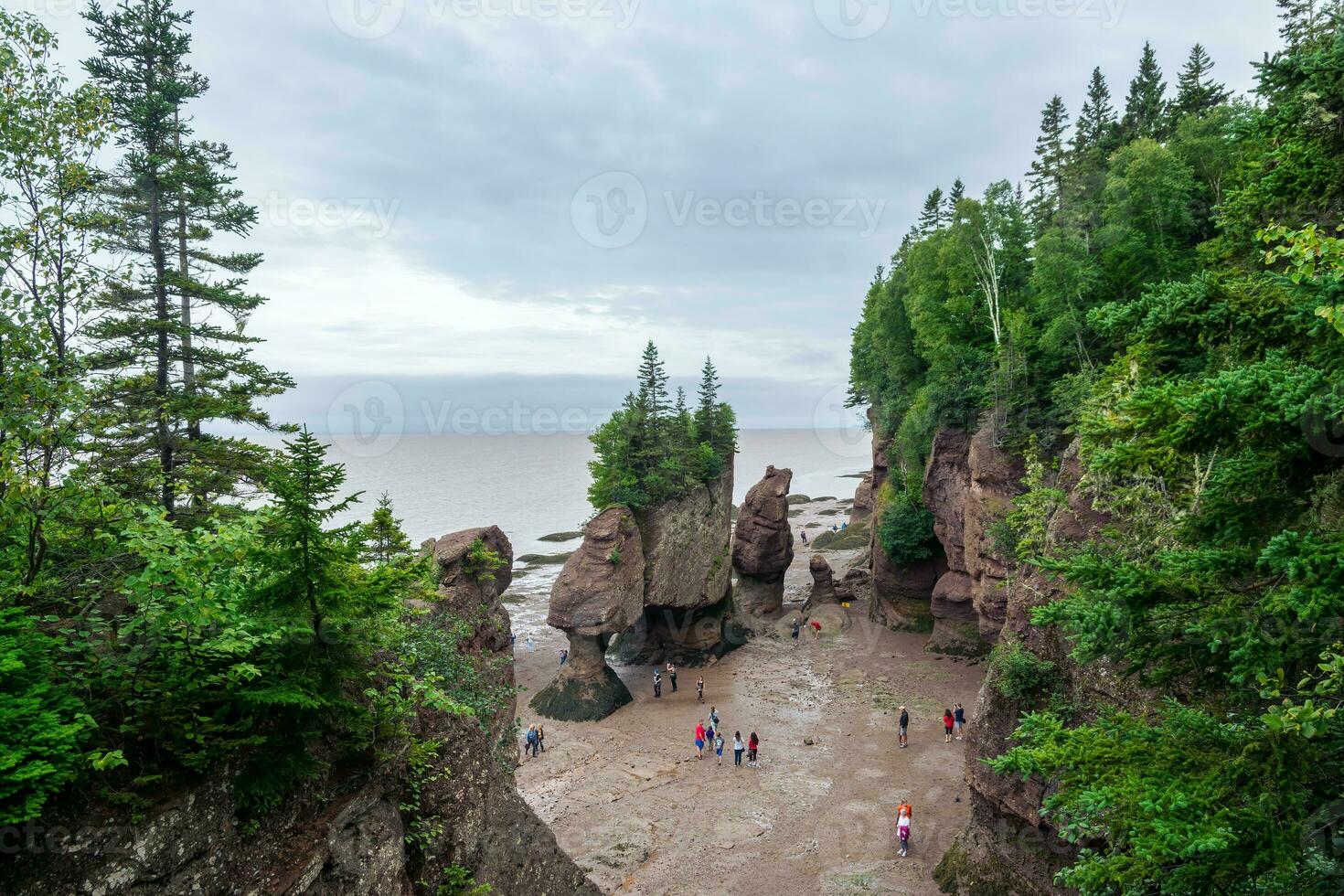 Bay of Fundy photo