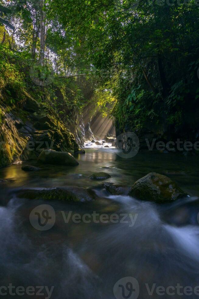 hermosa vista de la mañana indonesia panorama paisaje arrozales con color de belleza y luz natural del cielo foto