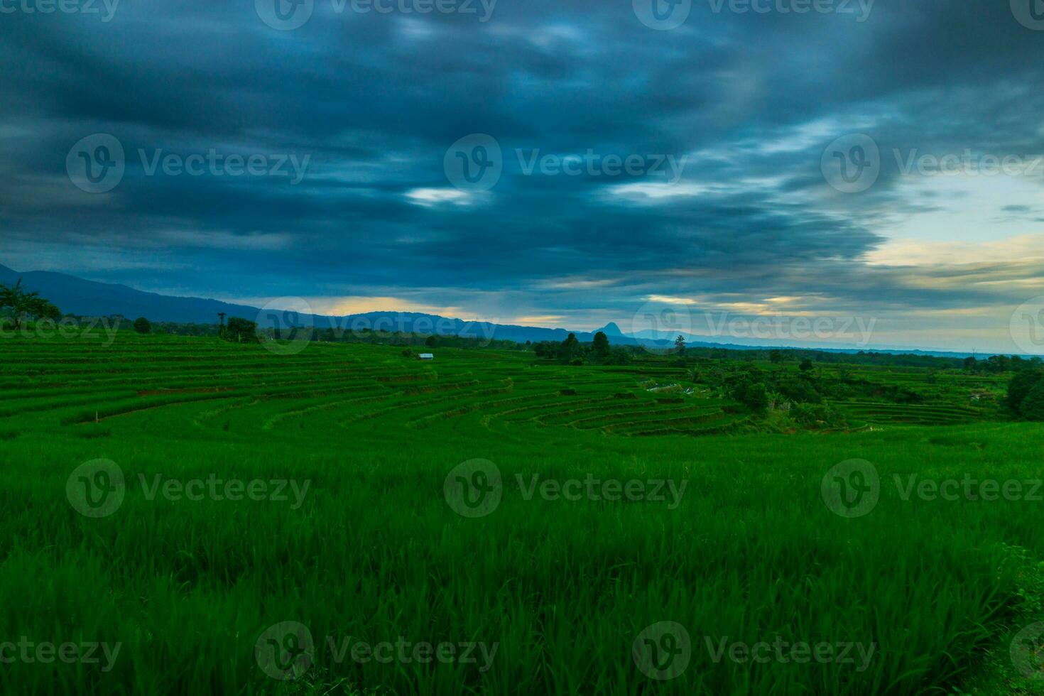Beautiful morning view indonesia Panorama Landscape paddy fields with beauty color and sky natural light photo