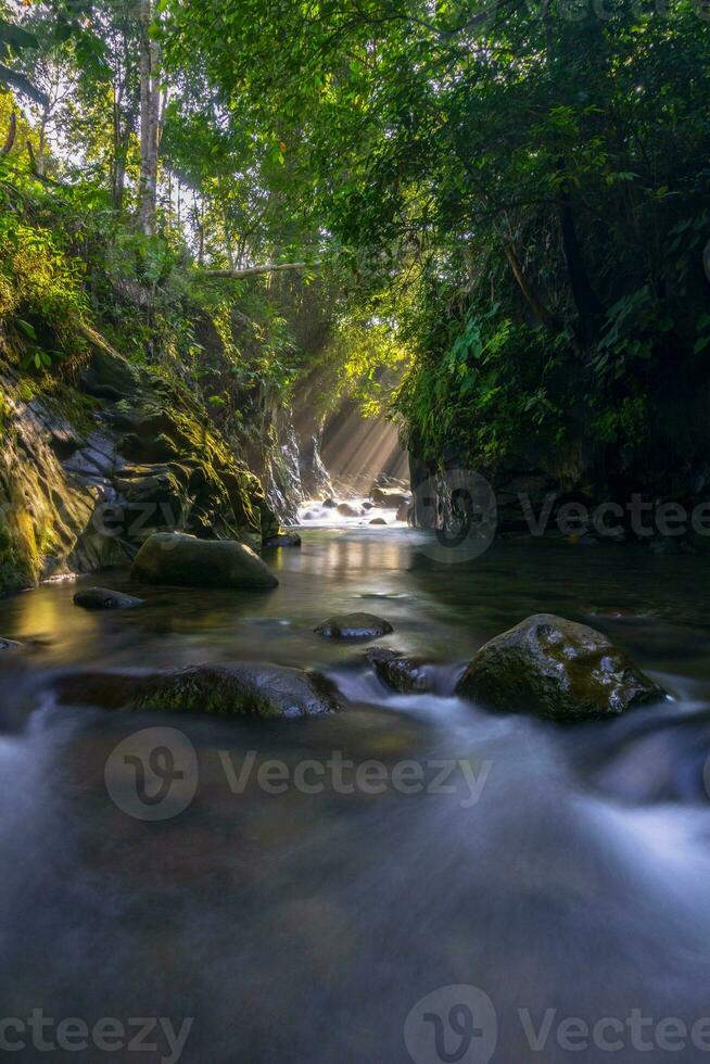 hermosa vista de la mañana indonesia panorama paisaje arrozales con color de belleza y luz natural del cielo foto