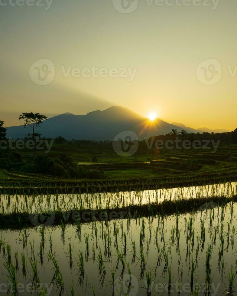 Beautiful morning view indonesia Panorama Landscape paddy fields with beauty color and sky natural light photo