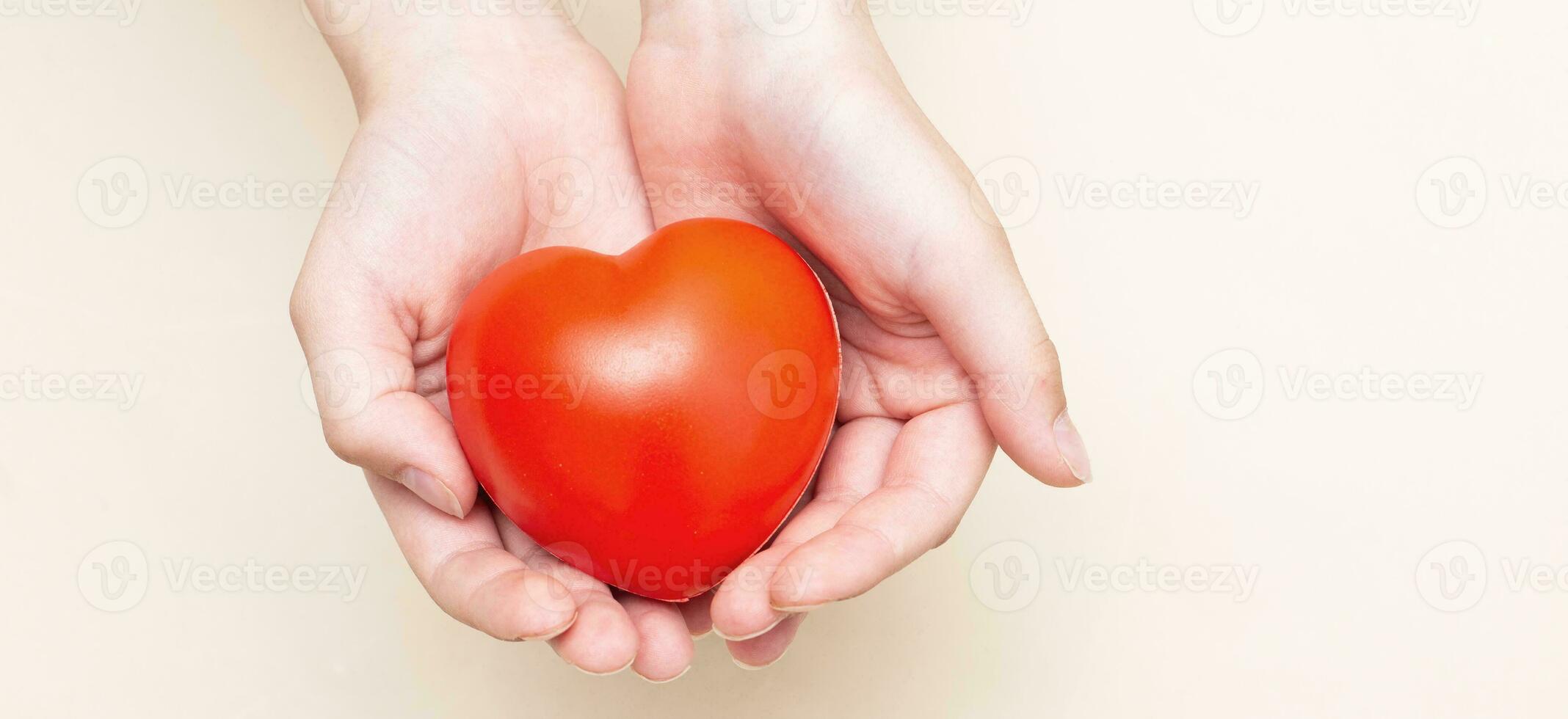 Children's hands holding a red heart as a simbol of care, love, support and protection photo